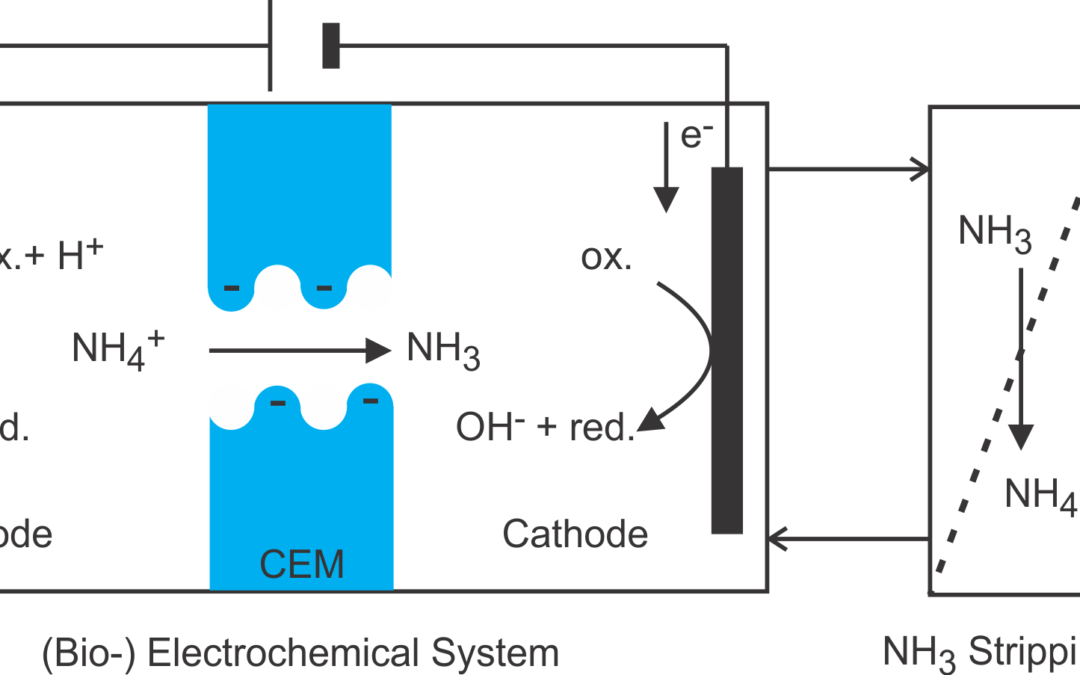 (Bio)electrochemical ammonia recovery: progress and perspectives
