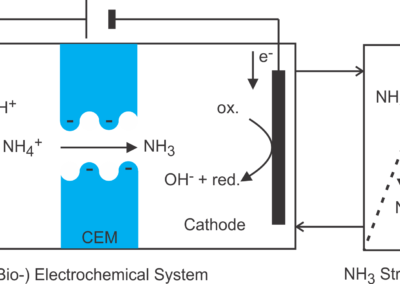 (Bio)electrochemical ammonia recovery: progress and perspectives