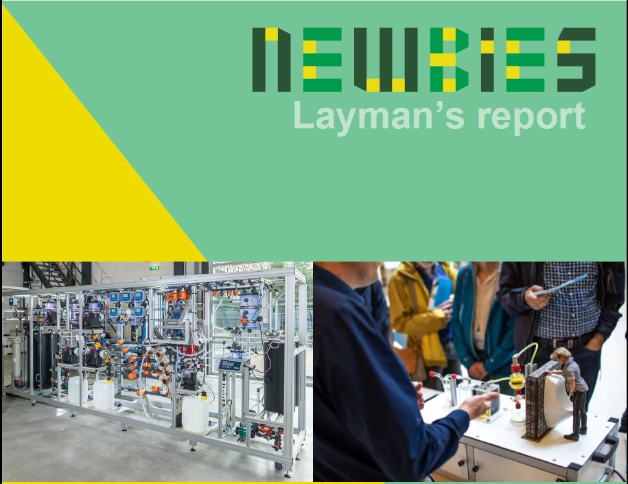 PP#10: Layman report